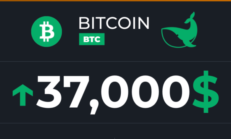 Le bitcoin à 37 000 $