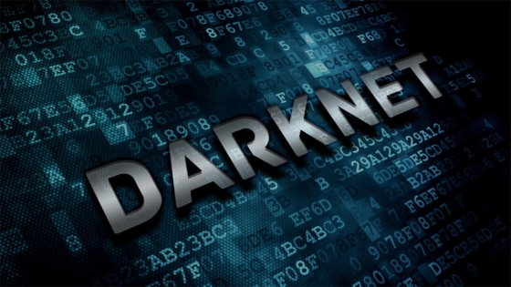 Darknet vole millions dollars à ses clients