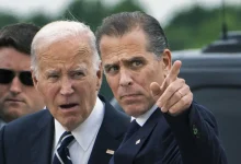 Joe Biden fait grimper les memecoins